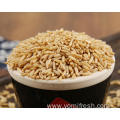 Oat Rice 25KG